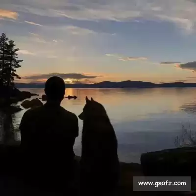 蔡蓬海